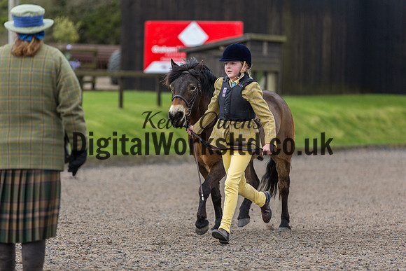 BDH-Point-to-Point-5