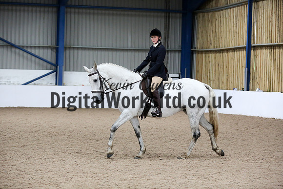 NECWPCA-SUMMER-WELSH-SILVER-MEDAL-SHOW (69 of 315)