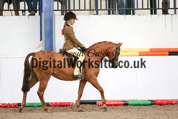NECWPCA-SUMMER-WELSH-SILVER-MEDAL-SHOW (10 of 334)