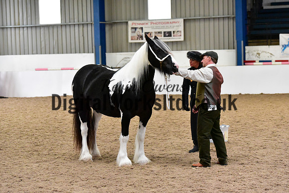NECWPCA-SUMMER-WELSH-SILVER-MEDAL-SHOW (25 of 150)