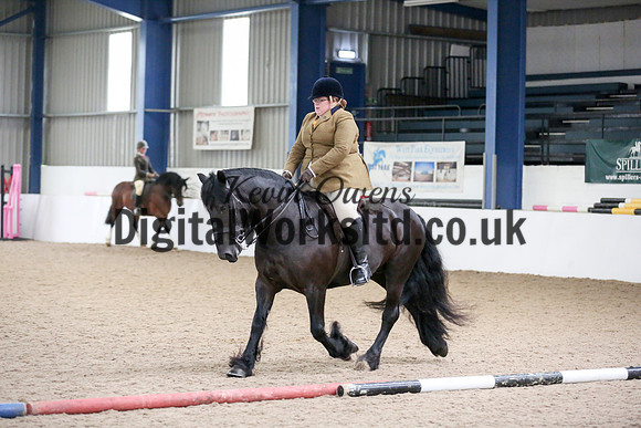 NECWPCA-SUMMER-WELSH-SILVER-MEDAL-SHOW (124 of 325)