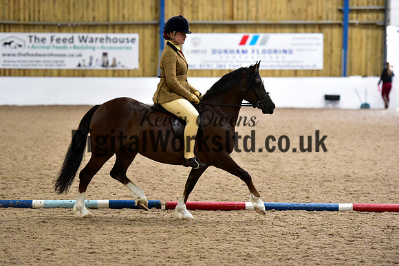 NECWPCA-SUMMER-WELSH-SILVER-MEDAL-SHOW (56 of 419)