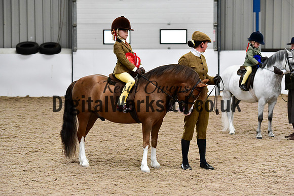 NECWPCA-SUMMER-WELSH-SILVER-MEDAL-SHOW (46 of 419)