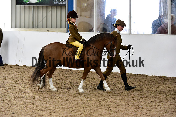 NECWPCA-SUMMER-WELSH-SILVER-MEDAL-SHOW (18 of 159)