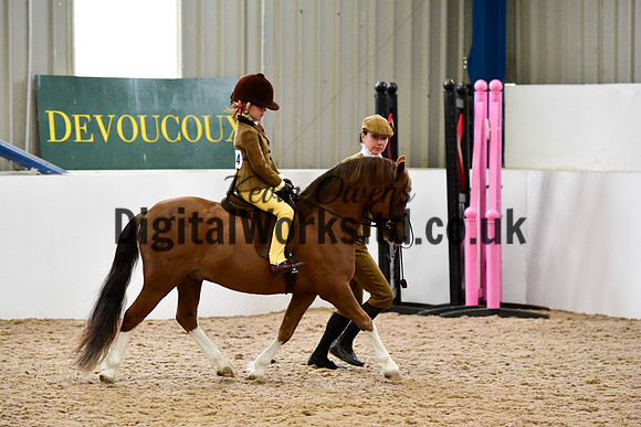 NECWPCA-SUMMER-WELSH-SILVER-MEDAL-SHOW (2 of 140)