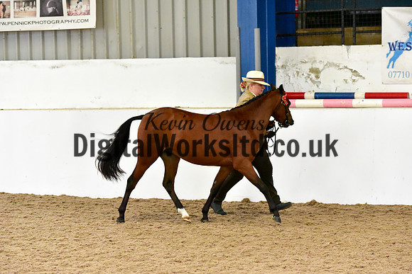 NECWPCA-SUMMER-WELSH-SILVER-MEDAL-SHOW (1 of 61)