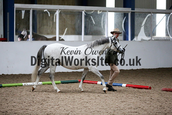 NECWPCA-SUMMER-WELSH-SILVER-MEDAL-SHOW (7 of 427)