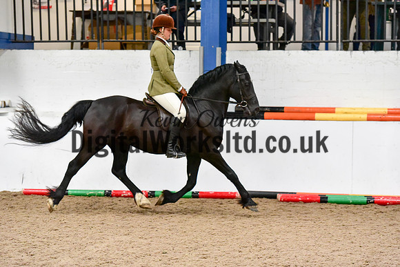 NECWPCA-SUMMER-WELSH-SILVER-MEDAL-SHOW (30 of 92)