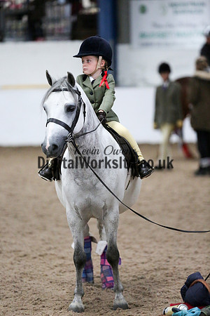 NECWPCA-SUMMER-WELSH-SILVER-MEDAL-SHOW (13 of 75)