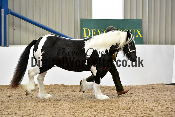 NECWPCA-SUMMER-WELSH-SILVER-MEDAL-SHOW (2 of 91)