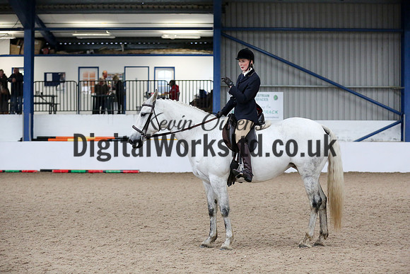 NECWPCA-SUMMER-WELSH-SILVER-MEDAL-SHOW (71 of 315)