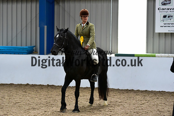 NECWPCA-SUMMER-WELSH-SILVER-MEDAL-SHOW (24 of 92)