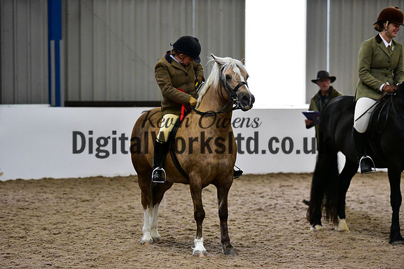 NECWPCA-SUMMER-WELSH-SILVER-MEDAL-SHOW (54 of 325)