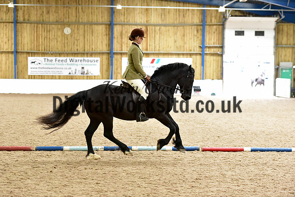 NECWPCA-SUMMER-WELSH-SILVER-MEDAL-SHOW (169 of 315)