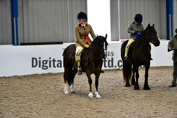 NECWPCA-SUMMER-WELSH-SILVER-MEDAL-SHOW (13 of 334)