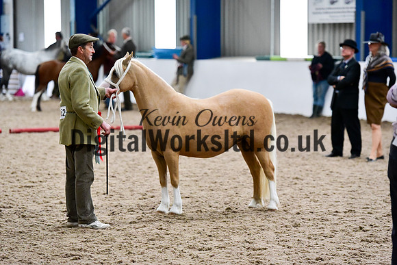 NECWPCA-SUMMER-WELSH-SILVER-MEDAL-SHOW (6 of 13)
