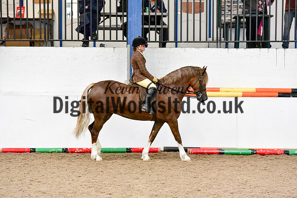 NECWPCA-SUMMER-WELSH-SILVER-MEDAL-SHOW (57 of 92)