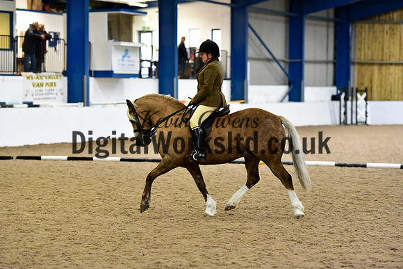 NECWPCA-SUMMER-WELSH-SILVER-MEDAL-SHOW (29 of 325)
