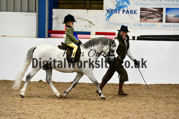 NECWPCA-SUMMER-WELSH-SILVER-MEDAL-SHOW (37 of 419)