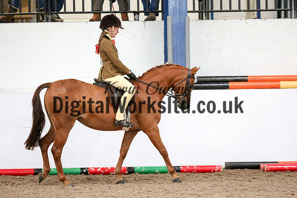 NECWPCA-SUMMER-WELSH-SILVER-MEDAL-SHOW (8 of 334)