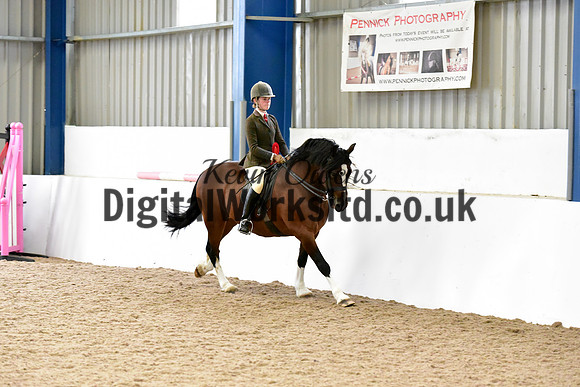 NECWPCA-SUMMER-WELSH-SILVER-MEDAL-SHOW (163 of 325)