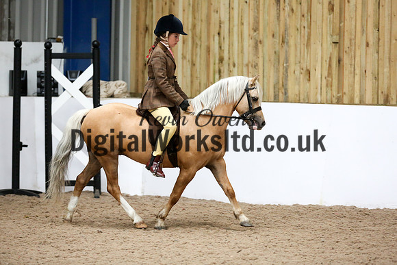 NECWPCA-SUMMER-WELSH-SILVER-MEDAL-SHOW (33 of 325)
