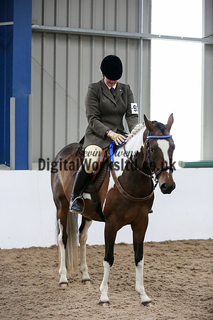 NECWPCA-SUMMER-WELSH-SILVER-MEDAL-SHOW (14 of 419)