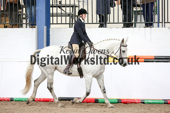 NECWPCA-SUMMER-WELSH-SILVER-MEDAL-SHOW (114 of 315)