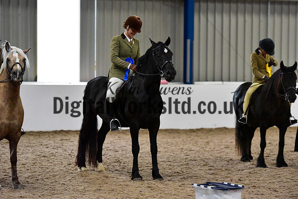 NECWPCA-SUMMER-WELSH-SILVER-MEDAL-SHOW (58 of 325)
