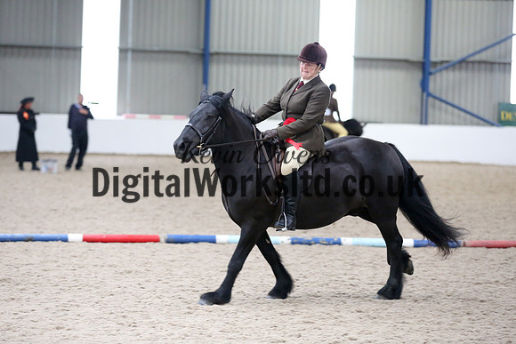 NECWPCA-SUMMER-WELSH-SILVER-MEDAL-SHOW (140 of 315)