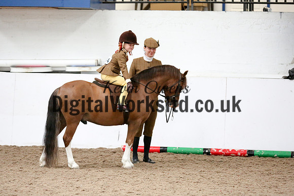 NECWPCA-SUMMER-WELSH-SILVER-MEDAL-SHOW (100 of 325)
