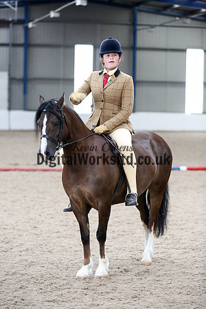 NECWPCA-SUMMER-WELSH-SILVER-MEDAL-SHOW (10 of 325)