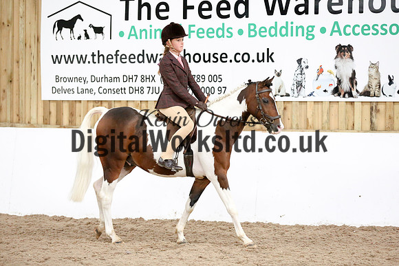 NECWPCA-SUMMER-WELSH-SILVER-MEDAL-SHOW (62 of 419)