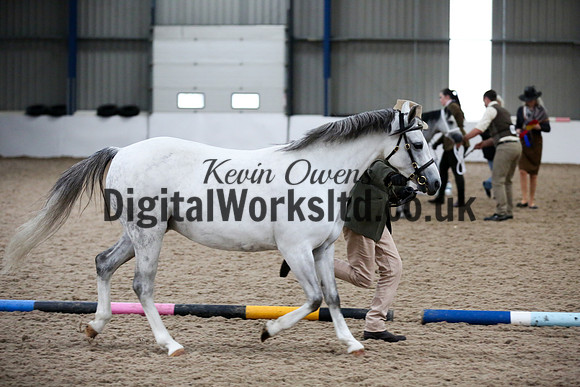NECWPCA-SUMMER-WELSH-SILVER-MEDAL-SHOW (28 of 427)