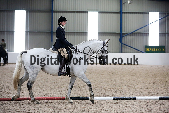 NECWPCA-SUMMER-WELSH-SILVER-MEDAL-SHOW (91 of 315)