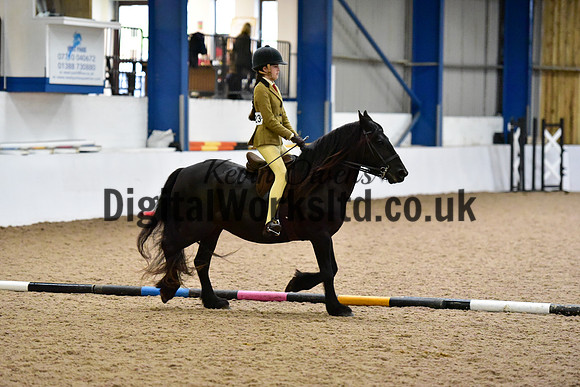 NECWPCA-SUMMER-WELSH-SILVER-MEDAL-SHOW (14 of 325)