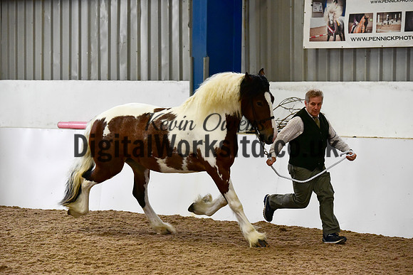 NECWPCA-SUMMER-WELSH-SILVER-MEDAL-SHOW (1 of 104)