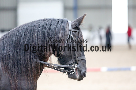 NECWPCA-SUMMER-WELSH-SILVER-MEDAL-SHOW (13 of 135)