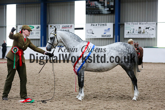 NECWPCA-SUMMER-WELSH-SILVER-MEDAL-SHOW (6 of 171)