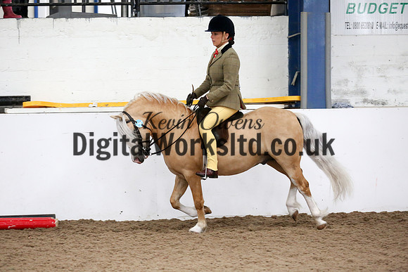 NECWPCA-SUMMER-WELSH-SILVER-MEDAL-SHOW (199 of 315)