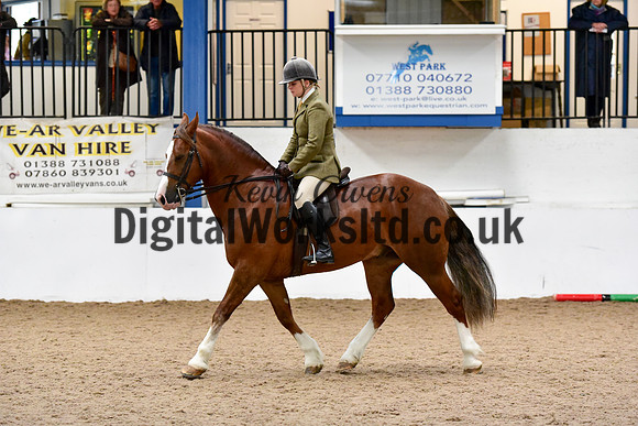 NECWPCA-SUMMER-WELSH-SILVER-MEDAL-SHOW (12 of 92)
