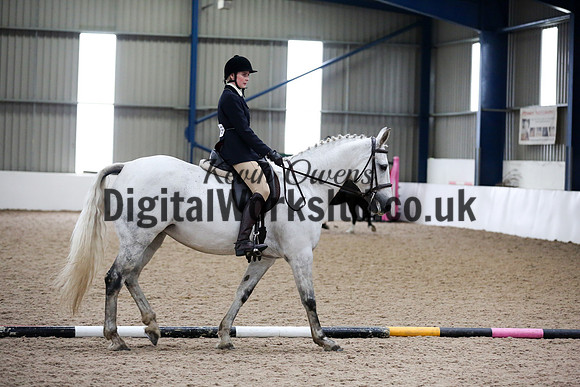 NECWPCA-SUMMER-WELSH-SILVER-MEDAL-SHOW (94 of 315)