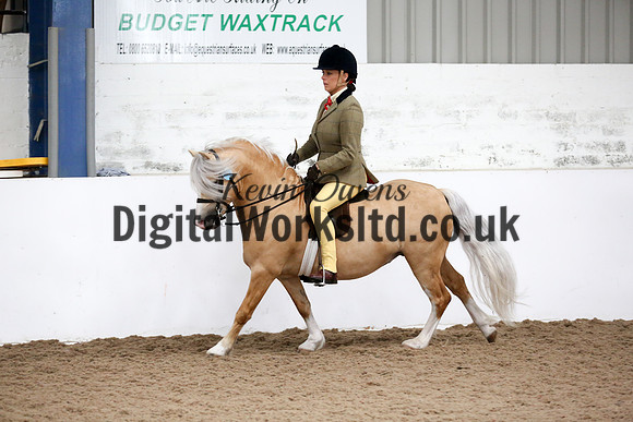 NECWPCA-SUMMER-WELSH-SILVER-MEDAL-SHOW (197 of 315)