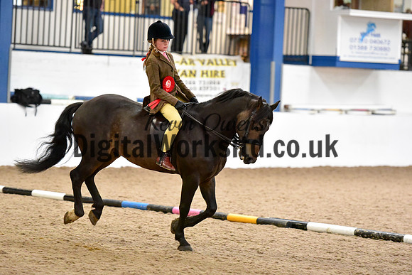 NECWPCA-SUMMER-WELSH-SILVER-MEDAL-SHOW (19 of 315)