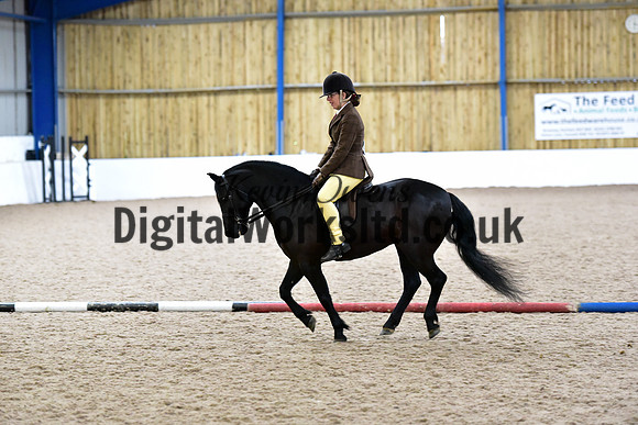 NECWPCA-SUMMER-WELSH-SILVER-MEDAL-SHOW (146 of 315)