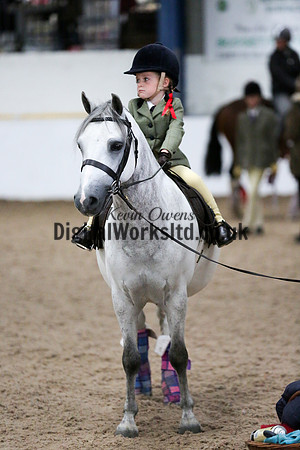 NECWPCA-SUMMER-WELSH-SILVER-MEDAL-SHOW (12 of 75)