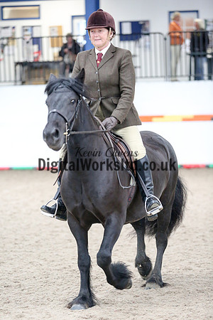NECWPCA-SUMMER-WELSH-SILVER-MEDAL-SHOW (42 of 419)