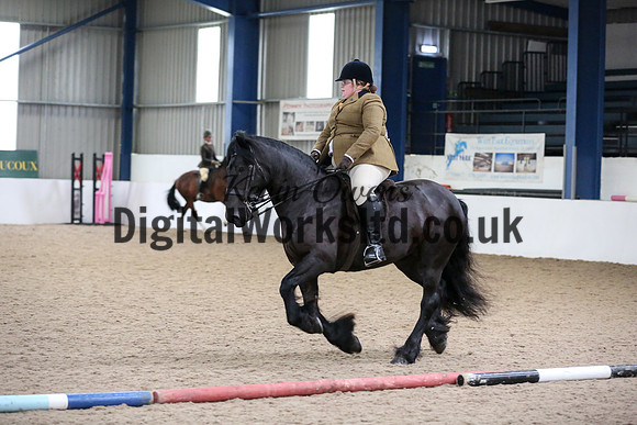 NECWPCA-SUMMER-WELSH-SILVER-MEDAL-SHOW (131 of 325)