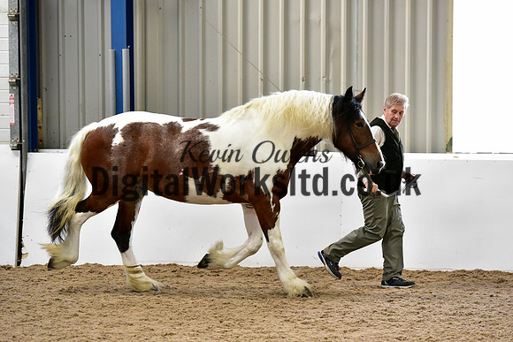 NECWPCA-SUMMER-WELSH-SILVER-MEDAL-SHOW (4 of 91)