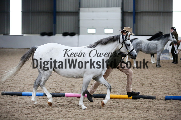 NECWPCA-SUMMER-WELSH-SILVER-MEDAL-SHOW (27 of 427)